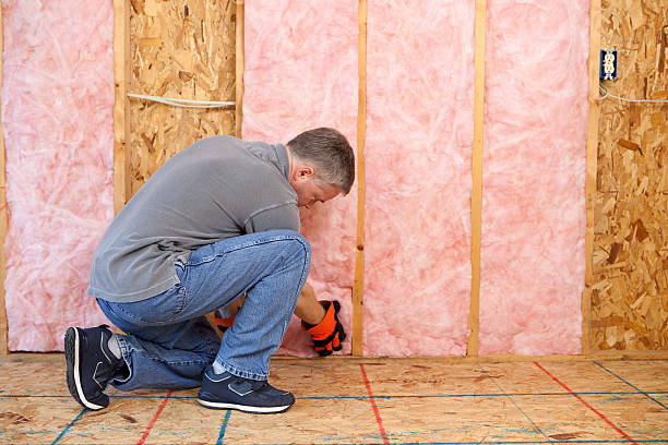 Best Residential Insulation in Carthage, NC