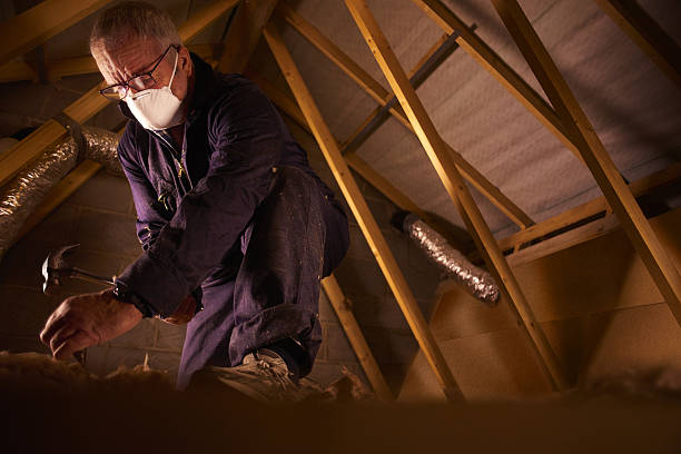 Best Specialized Insulation Services in Carthage, NC